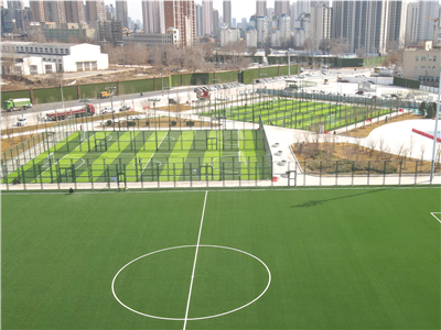 FIFA认证｜中央绿色体育公园足球场获国际足联场地认证