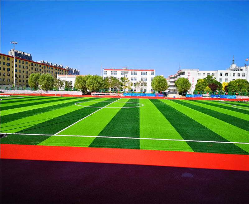 足球场专用草坪
