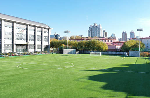 麦迪FIFA场地|哈尔滨体育学院足球场地荣获FIFA场地认证