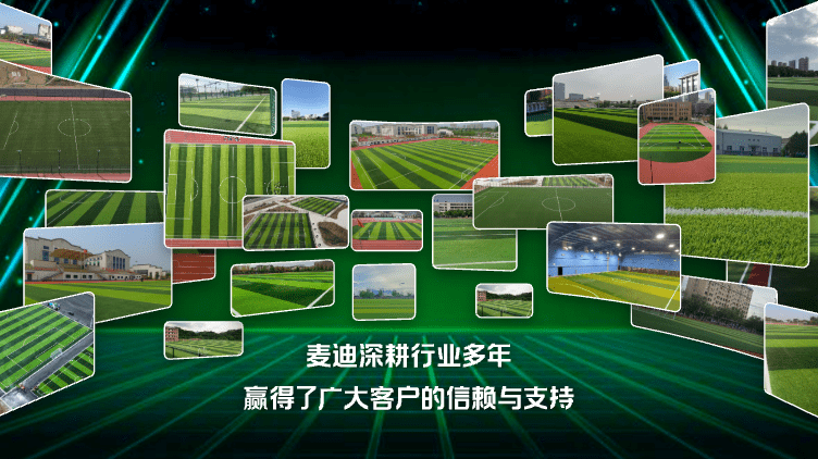 案例展示