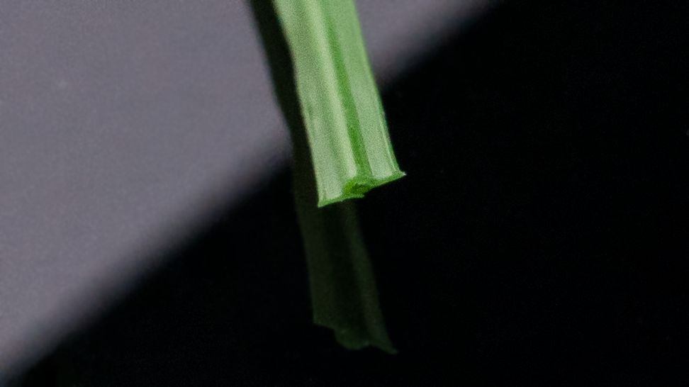 关于人造草坪的抗静电性能