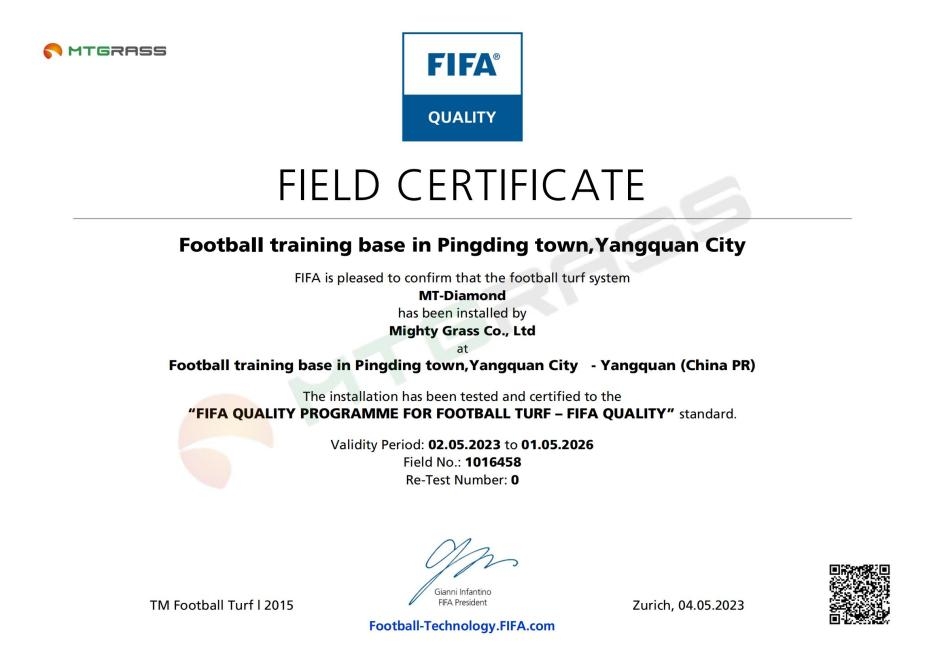 麦迪人造草坪FIFA场地合集